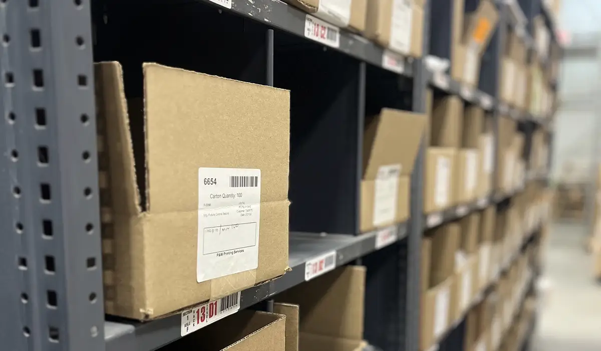 Shelving with organized cardboard boxes